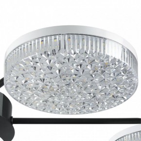 Потолочная люстра Lumion Didana 8236/7CL в Златоусте - zlatoust.ok-mebel.com | фото 9