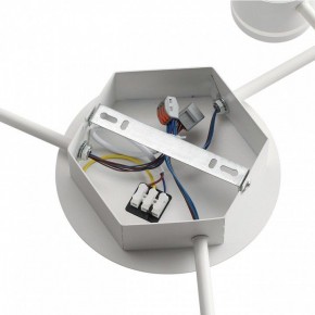 Потолочная люстра Lumion Gareta 8235/9C в Златоусте - zlatoust.ok-mebel.com | фото 6