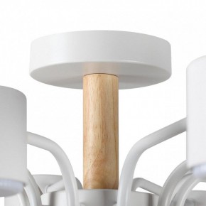 Потолочная люстра Lumion Rondo 8196/10C в Златоусте - zlatoust.ok-mebel.com | фото 8
