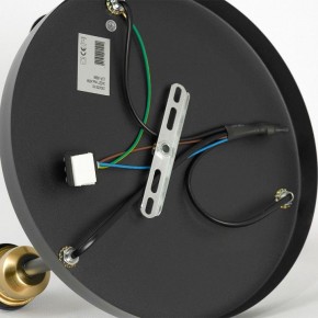 Потолочная люстра Lussole Mitchel LSP-8996 в Златоусте - zlatoust.ok-mebel.com | фото 5