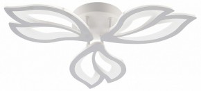 Потолочная люстра Natali Kovaltseva FORTUNA LED LAMPS 81107/2C в Златоусте - zlatoust.ok-mebel.com | фото