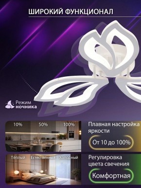 Потолочная люстра Natali Kovaltseva FORTUNA LED LAMPS 81107/2C в Златоусте - zlatoust.ok-mebel.com | фото 5