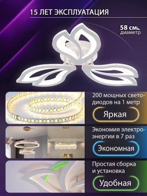Потолочная люстра Natali Kovaltseva FORTUNA LED LAMPS 81107/2C в Златоусте - zlatoust.ok-mebel.com | фото 6