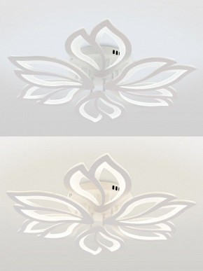 Потолочная люстра Natali Kovaltseva FORTUNA LED LAMPS 81107/6C в Златоусте - zlatoust.ok-mebel.com | фото 4