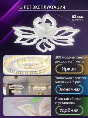 Потолочная люстра Natali Kovaltseva FORTUNA LED LAMPS 81107/6C в Златоусте - zlatoust.ok-mebel.com | фото 5
