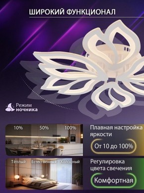Потолочная люстра Natali Kovaltseva FORTUNA LED LAMPS 81107/6C в Златоусте - zlatoust.ok-mebel.com | фото 6