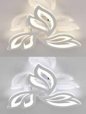 Потолочная люстра Natali Kovaltseva  LED LAMPS 81426 в Златоусте - zlatoust.ok-mebel.com | фото 4