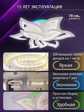 Потолочная люстра Natali Kovaltseva OLIMP LED LAMPS 81435 в Златоусте - zlatoust.ok-mebel.com | фото 5