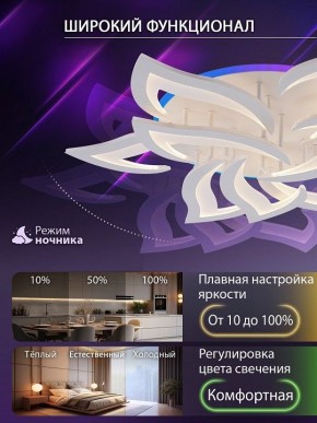Потолочная люстра Natali Kovaltseva OLIMP LED LAMPS 81435 в Златоусте - zlatoust.ok-mebel.com | фото 6