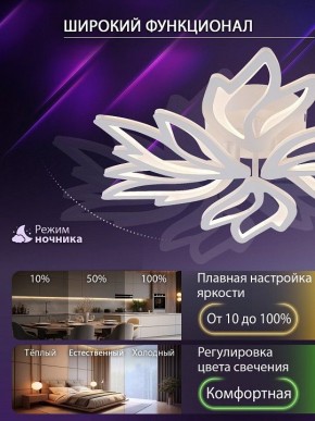Потолочная люстра Natali Kovaltseva RIF LED LAMPS 81118/5C в Златоусте - zlatoust.ok-mebel.com | фото 6
