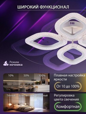 Потолочная люстра Natali Kovaltseva SM LED LAMPS 81455 в Златоусте - zlatoust.ok-mebel.com | фото 6