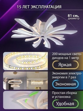 Потолочная люстра Natali Kovaltseva VIO LED LAMPS 81454 в Златоусте - zlatoust.ok-mebel.com | фото 5