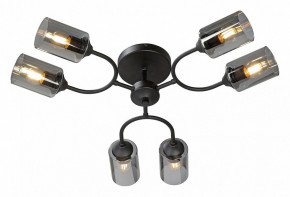Потолочная люстра Vitaluce V2823 V2823-1/6PL в Златоусте - zlatoust.ok-mebel.com | фото 2