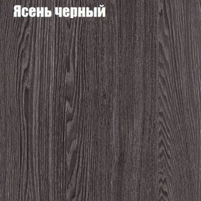 Прихожая ДИАНА-4 сек №11 (Ясень анкор/Дуб эльза) в Златоусте - zlatoust.ok-mebel.com | фото 3