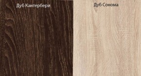 Прихожая-купе Смарт 3 (1000) в Златоусте - zlatoust.ok-mebel.com | фото 5