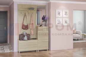 Прихожая Мелисса композиция 8 (Ясень Асахи) в Златоусте - zlatoust.ok-mebel.com | фото