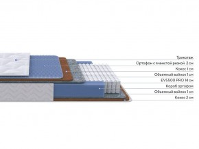 PROxSON Матрас Active Duo M/F (Ткань Трикотаж Эко) 200x200 в Златоусте - zlatoust.ok-mebel.com | фото 2
