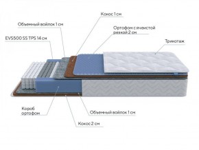 PROxSON Матрас Active Duo M/F (Ткань Трикотаж Эко) 120x190 в Златоусте - zlatoust.ok-mebel.com | фото 6