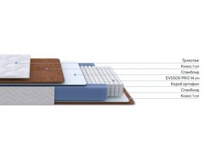 PROxSON Матрас Active F Roll (Ткань Трикотаж Эко) 160x200 в Златоусте - zlatoust.ok-mebel.com | фото 3