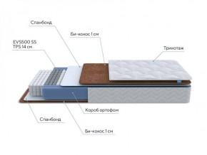 PROxSON Матрас Active F Roll (Ткань Трикотаж Эко) 140x200 в Златоусте - zlatoust.ok-mebel.com | фото 7