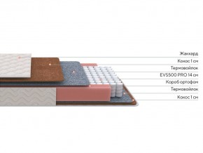 PROxSON Матрас Standart F Roll (Ткань Синтетический жаккард) 120x200 в Златоусте - zlatoust.ok-mebel.com | фото 2