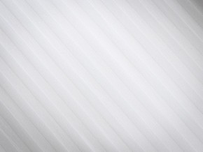 PROxSON Подушка Terra Ergo (Страйп сатин) 40x60 в Златоусте - zlatoust.ok-mebel.com | фото 8