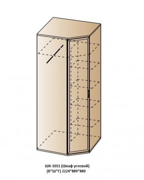 ШК-1011 (Шкаф угловой) в Златоусте - zlatoust.ok-mebel.com | фото