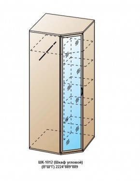 ШК-1012 (Шкаф угловой) в Златоусте - zlatoust.ok-mebel.com | фото