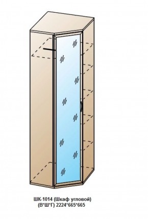 ШК-1014 (Шкаф угловой) в Златоусте - zlatoust.ok-mebel.com | фото