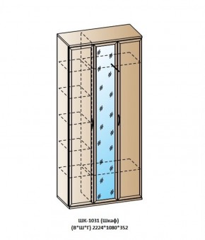ШК-1031 (Шкаф) в Златоусте - zlatoust.ok-mebel.com | фото