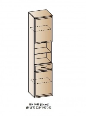 ШК-1048 (Шкаф) в Златоусте - zlatoust.ok-mebel.com | фото