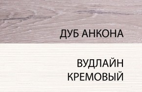 Шкаф 1DZ, OLIVIA, цвет вудлайн крем/дуб анкона в Златоусте - zlatoust.ok-mebel.com | фото 3