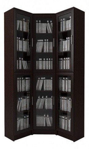 Шкаф книжный Мебелайн-14 в Златоусте - zlatoust.ok-mebel.com | фото