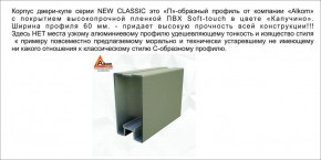 Шкаф-купе 1500 серии NEW CLASSIC K6Z+K6+B2+PL3 (2 ящика+2 штанги) профиль «Капучино» в Златоусте - zlatoust.ok-mebel.com | фото 17