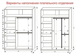 Шкаф-купе 1600 серии SOFT D6+D6+B2+PL3 (2 ящика+2штанги) профиль «Капучино» в Златоусте - zlatoust.ok-mebel.com | фото 7