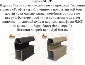 Шкаф-купе 1800 серии SOFT D1+D3+B2+PL1 (2 ящика+1штанга) профиль «Графит» в Златоусте - zlatoust.ok-mebel.com | фото 11