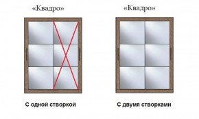 Шкаф-купе №19 Серия 3 Квадро (1700) Ясень Анкор светлый в Златоусте - zlatoust.ok-mebel.com | фото 3