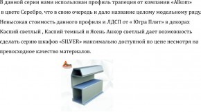 Шкаф-купе 2250 серии SILVER S3+S1+S4 B22+PL3 (по 2 ящика лев/прав+2 штанги) профиль «Серебро» в Златоусте - zlatoust.ok-mebel.com | фото 4