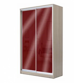 Шкаф-купе ХИТ 22-14-22 (620) в Златоусте - zlatoust.ok-mebel.com | фото 9