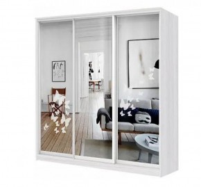 Шкаф-купе ХИТ 22-18-656 БАБОЧКИ в Златоусте - zlatoust.ok-mebel.com | фото