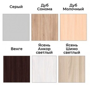 Шкаф-купе ХИТ 22-4-17-55 (420) в Златоусте - zlatoust.ok-mebel.com | фото 3