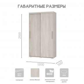 Шкаф-купе ШКК-11 (ясень белый) в Златоусте - zlatoust.ok-mebel.com | фото 7