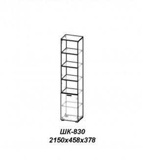 Шкаф Лотос ШК-830 Ясень шимо темный в Златоусте - zlatoust.ok-mebel.com | фото