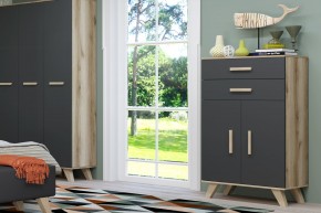 Шкаф низкий Вега Скандинавия в Златоусте - zlatoust.ok-mebel.com | фото 8