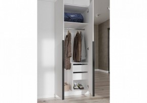 Шкаф платяной Широн в Златоусте - zlatoust.ok-mebel.com | фото 3