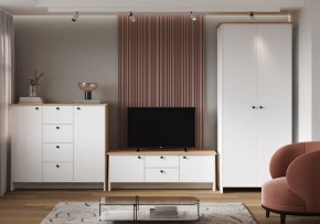 Шкаф платяной Теодора в Златоусте - zlatoust.ok-mebel.com | фото 4