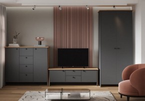 Шкаф платяной Теодора в Златоусте - zlatoust.ok-mebel.com | фото 3