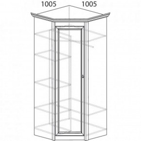 Шкаф угловой №662 "Флоренция" Фасад глухой (угол 1005*1005) Дуб оксфорд в Златоусте - zlatoust.ok-mebel.com | фото 3