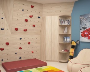 Шкаф угловой Мария 880*880 (ЛДСП 1 кат.) в Златоусте - zlatoust.ok-mebel.com | фото 8