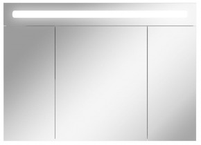 Шкаф-зеркало Аврора 100 с подсветкой LED Домино (DV8012HZ) в Златоусте - zlatoust.ok-mebel.com | фото